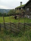 IMG_20200802_113309